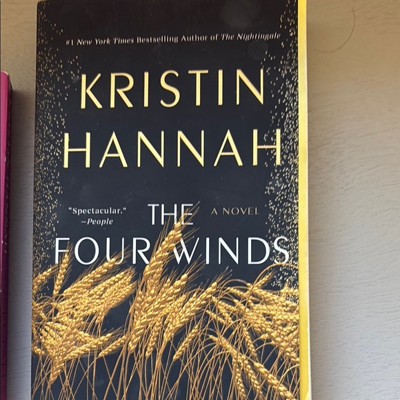 Kristin Hannah Book Set - Angel Falls & The Four Winds - Picture 4 of 5